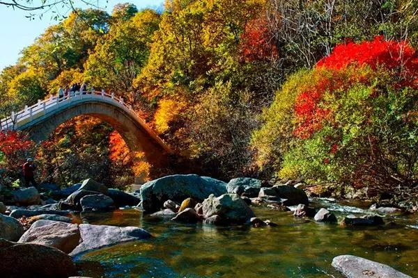 天橋溝國家森林公園在哪 最適合什么時候去玩 天橋溝國家森林公園在哪 最適合什么時候去玩