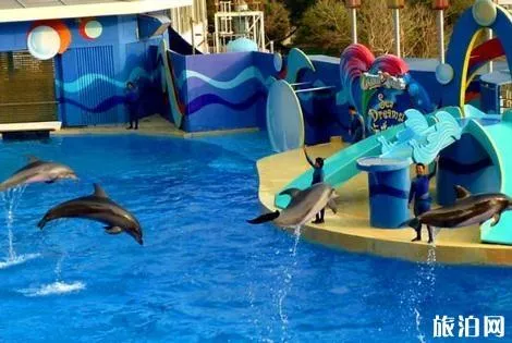 2018煙臺海昌鯨鯊海洋公園門票價格+年卡價格+優惠信息