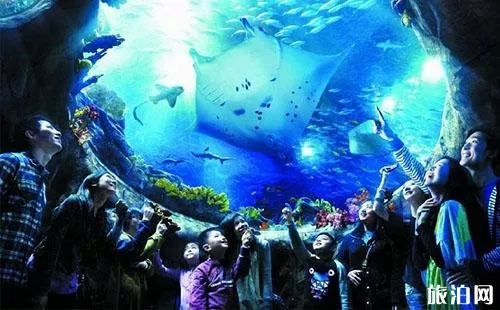 2018天津海昌極地海洋公園門票價格+年卡價格+優惠信息 2018天津海昌極地海洋公園門票價格+年卡價格+優惠信息