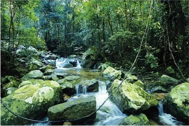 五一旅行海南特色景點推薦，這些美景會“唱歌”！