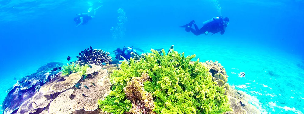 海南分界洲島旅游區