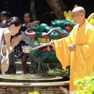 飄香端午，粽情萬寧