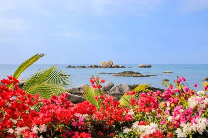 三亞春天拍了拍你：趁著好天氣，一起來天涯海角玩耍吧！